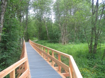 Nordic Walking Wildschönau