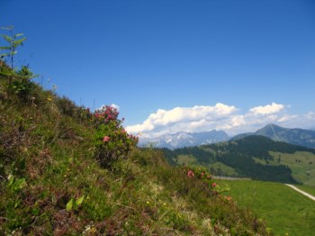 Sommerurlaub Tirol