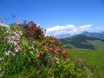 Urlaub Tirol