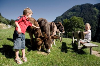 Wildpark Aurach