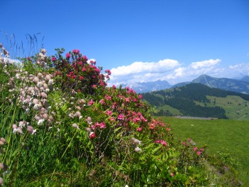 Wandern Tirol